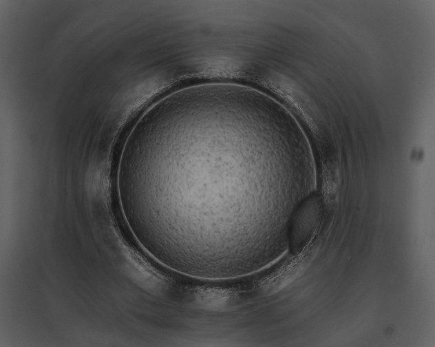 X0000095670677200801151104