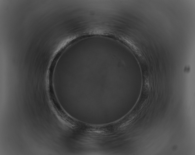 X0000095670678200801151104