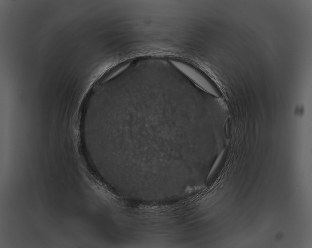 X0000095670679200801151104