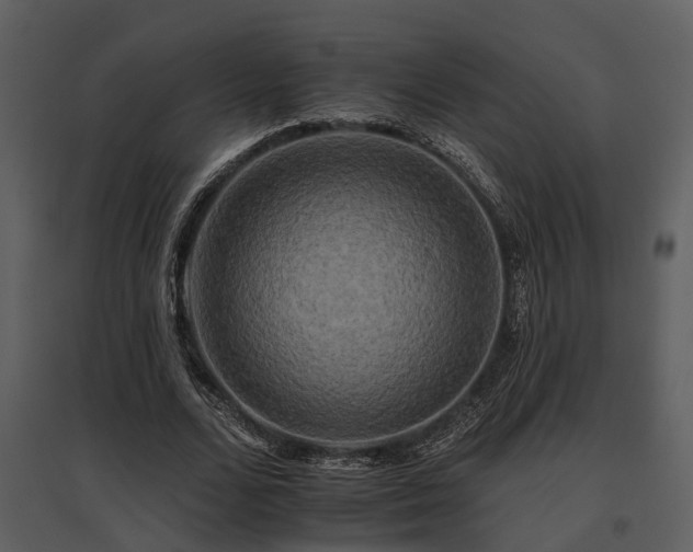 X0000095670680200801151104