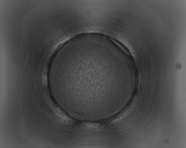 X0000095670681200801151104