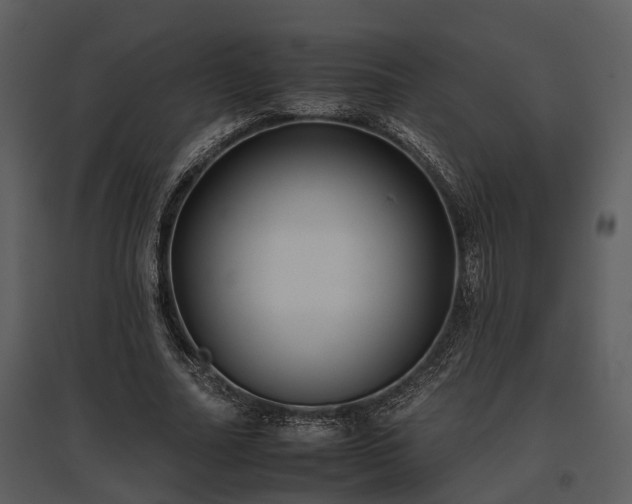 X0000095670682200801151104