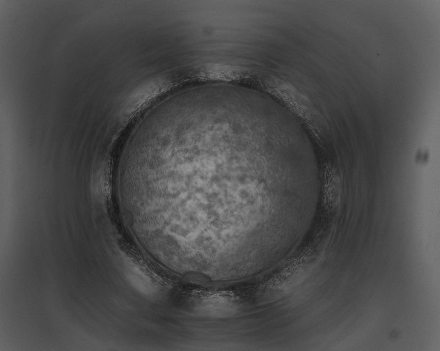 X0000095670683200801151104