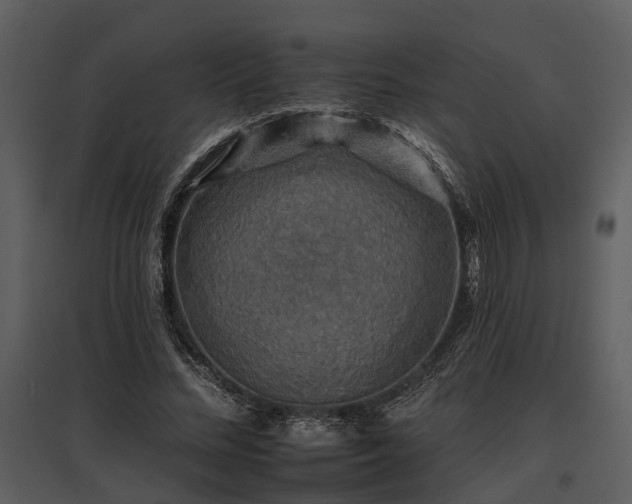 X0000095670684200801151104