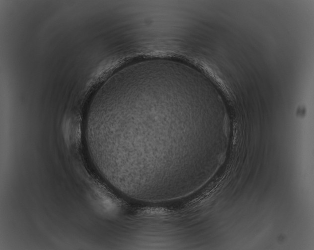 X0000095670685200801151104