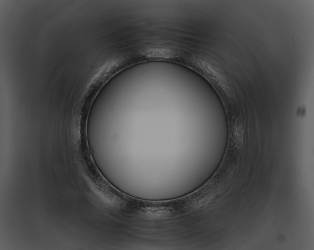 X0000095670686200801151104