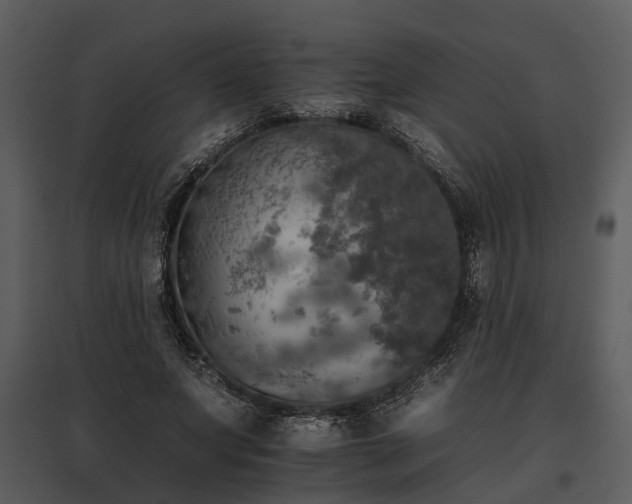 X0000095670687200801151104