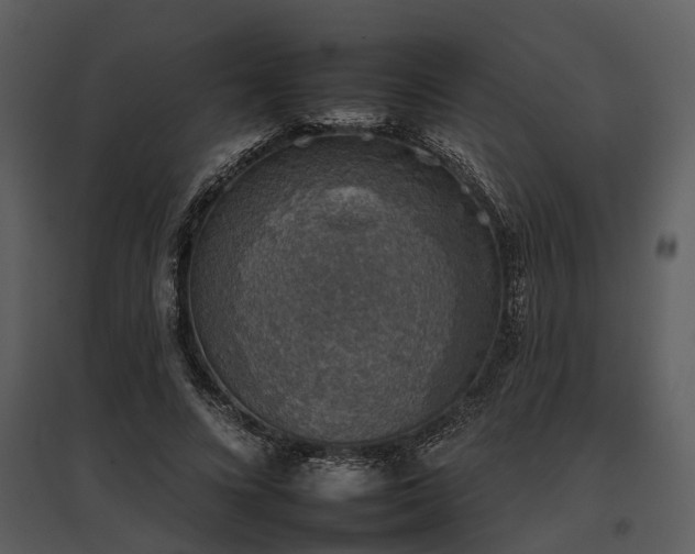 X0000095670688200801151104