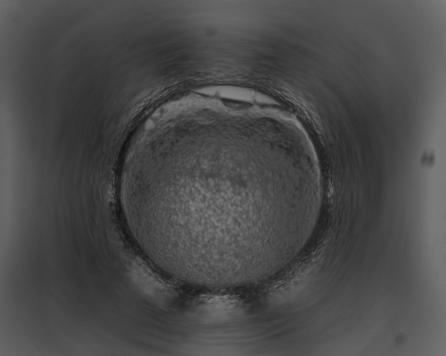 X0000095670689200801151104