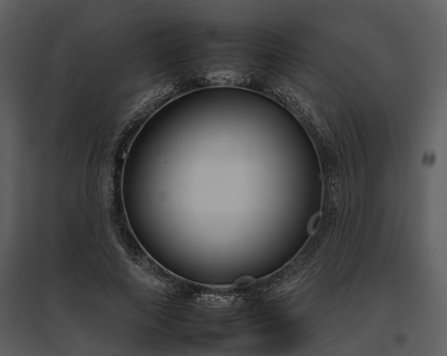 X0000095670690200801151104