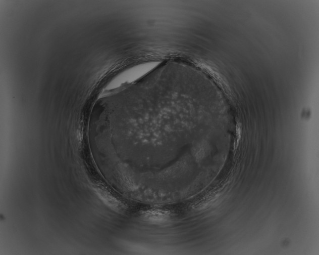 X0000095670691200801151104