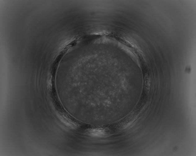 X0000095670692200801151104