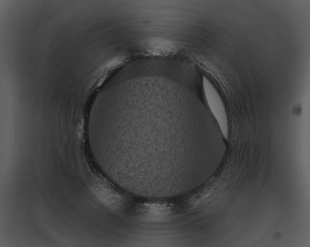 X0000095670693200801151104