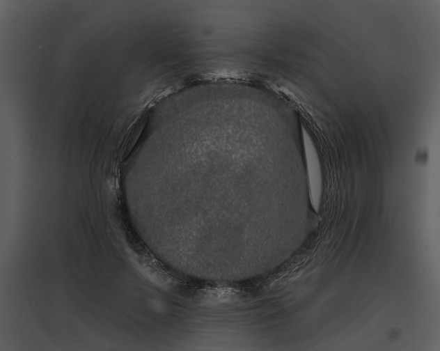 X0000095670695200801151104