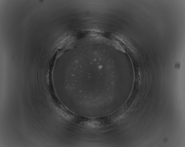 X0000095670696200801151104