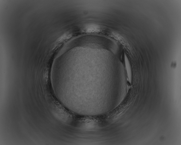 X0000095670697200801151104