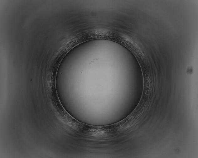 X0000095670698200801151104