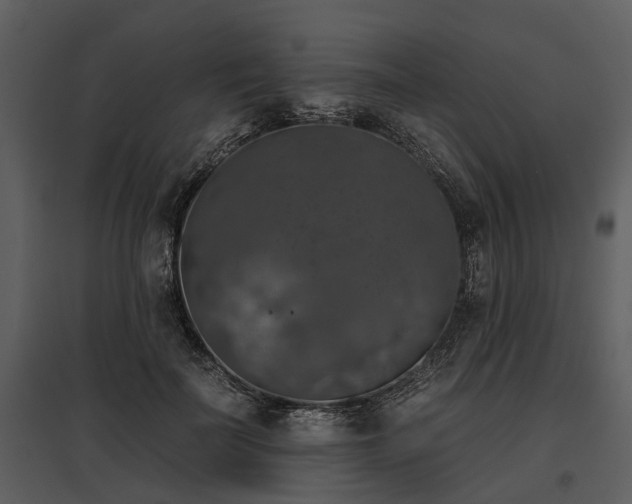 X0000095670699200801151104