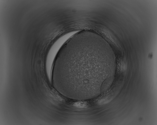 X0000095670700200801151104