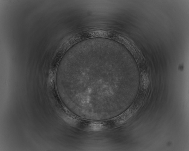 X0000095670701200801151104