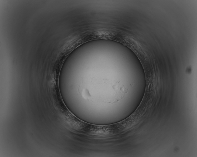 X0000095670702200801151104