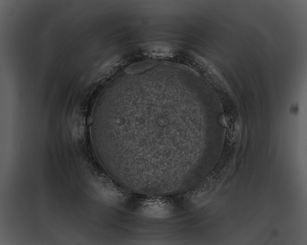 X0000095670704200801151104