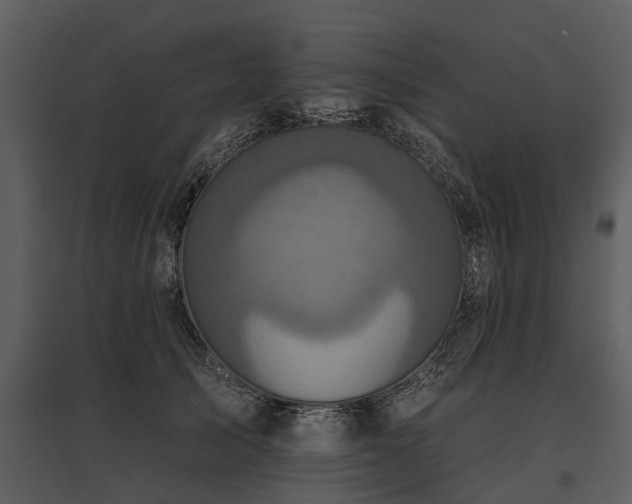 X0000095670705200801151104