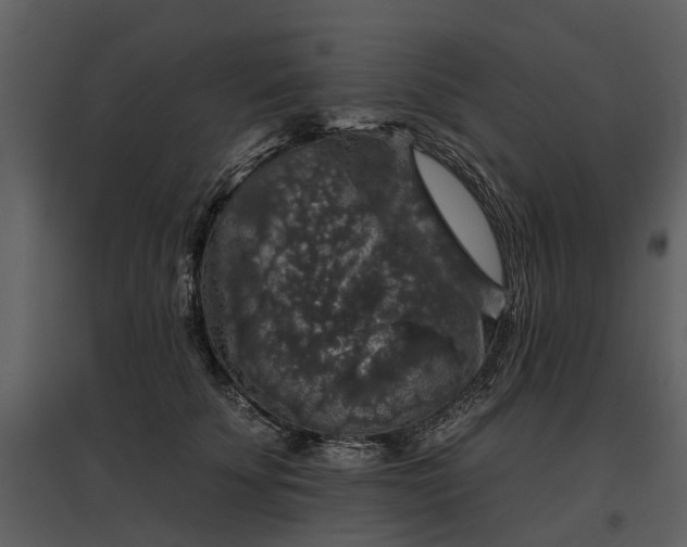 X0000095670707200801151104