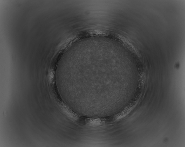 X0000095670709200801151104