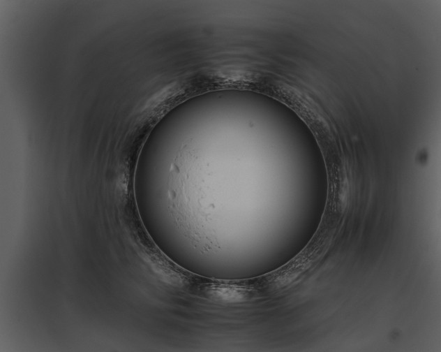 X0000095670710200801151104