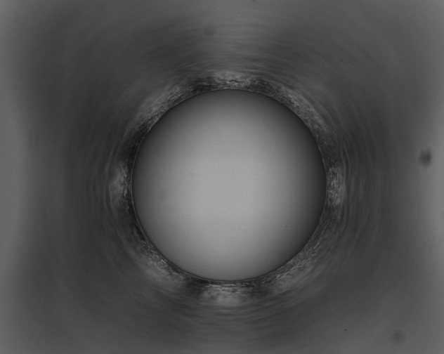 X0000095670713200801151104