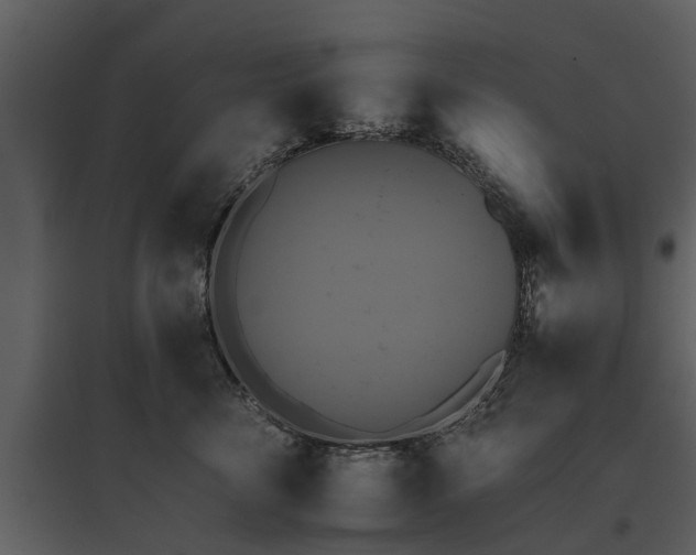 X0000095670716200801151104