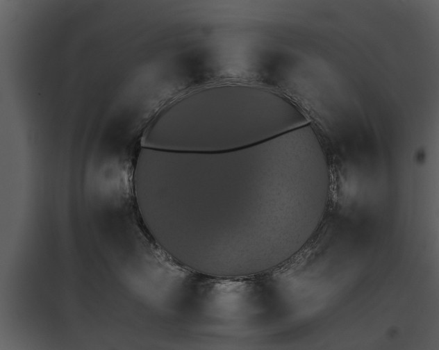 X0000095670718200801151104