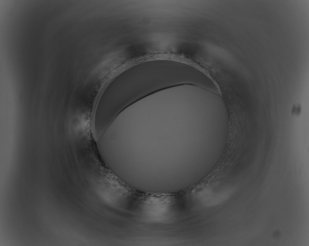 X0000095670720200801151104