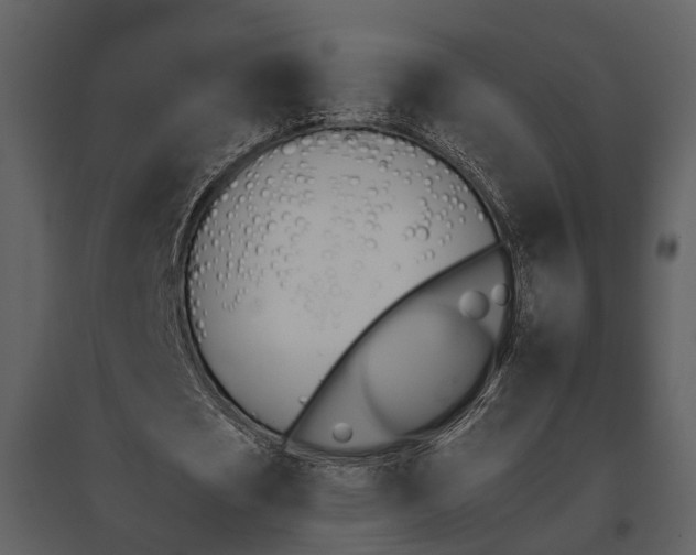 X0000095670721200801151103