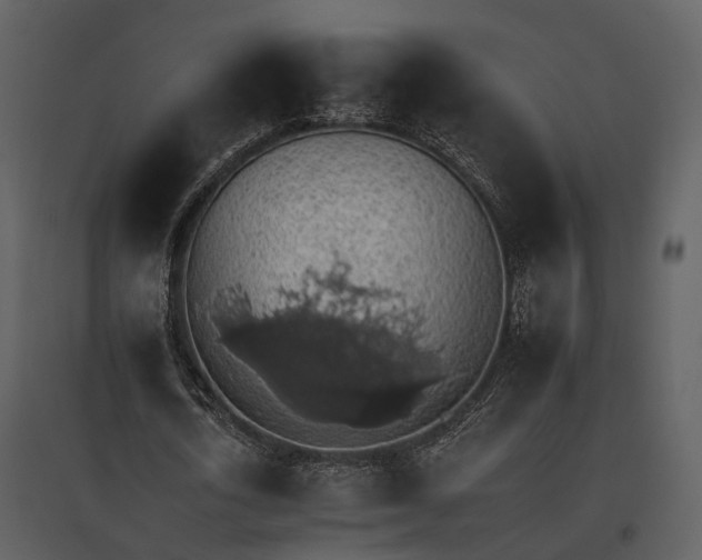 X0000095670722200801151103