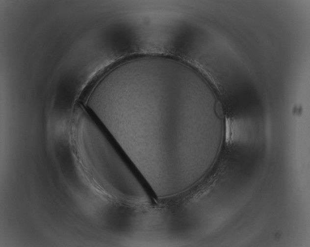 X0000095670723200801151103