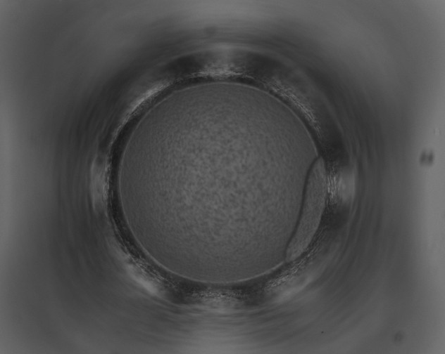 X0000095670724200801151103