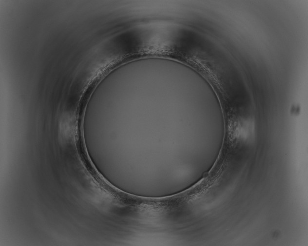 X0000095670725200801151103