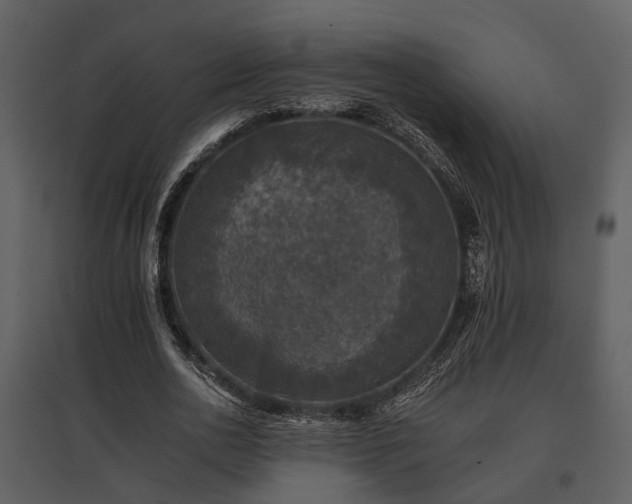 X0000095670726200801151103