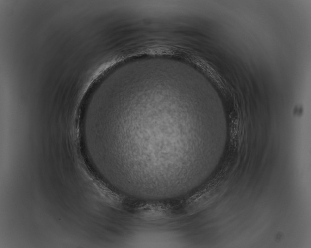 X0000095670727200801151103