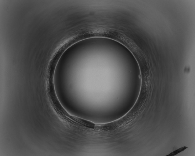 X0000095670728200801151103