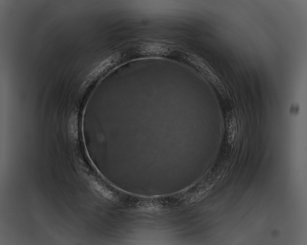 X0000095670729200801151103