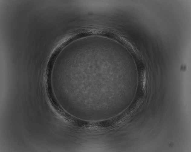 X0000095670730200801151103