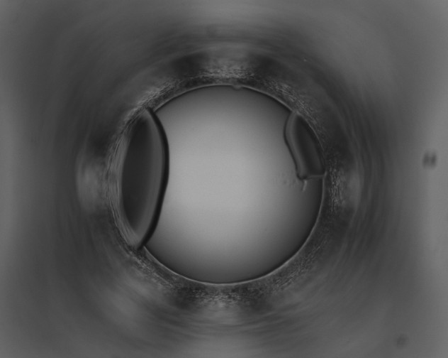 X0000095670731200801151103