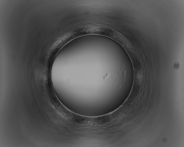 X0000095670732200801151103