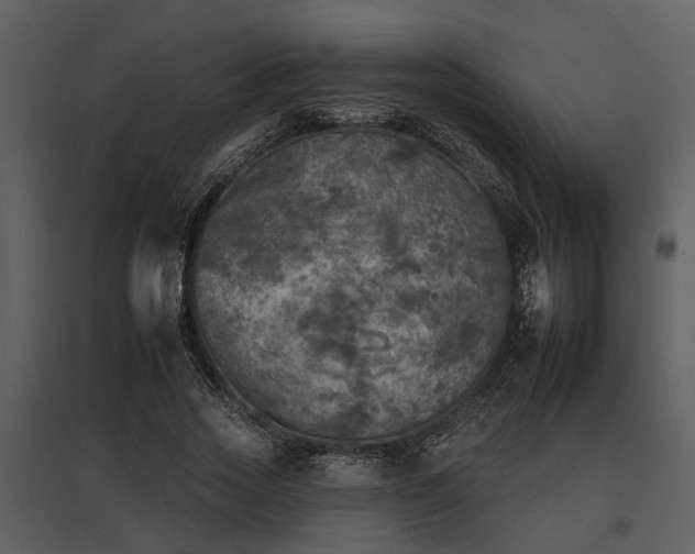 X0000095670733200801151103