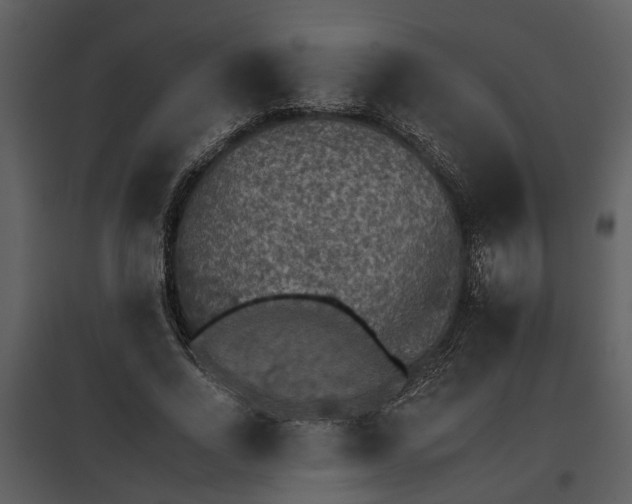 X0000095670734200801151103