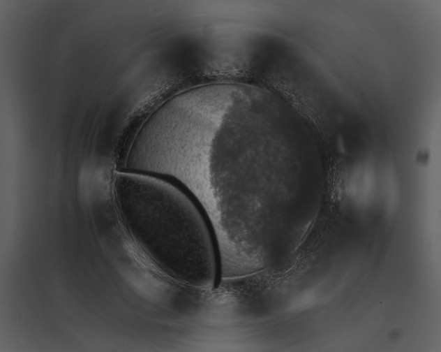 X0000095670735200801151103