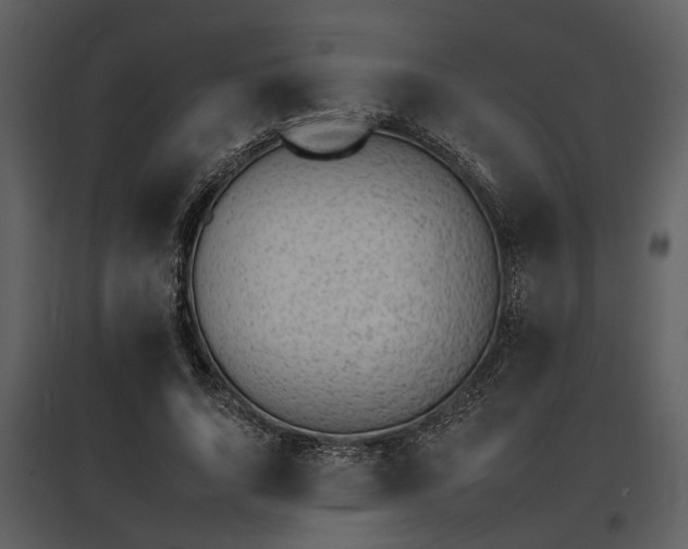 X0000095670736200801151103